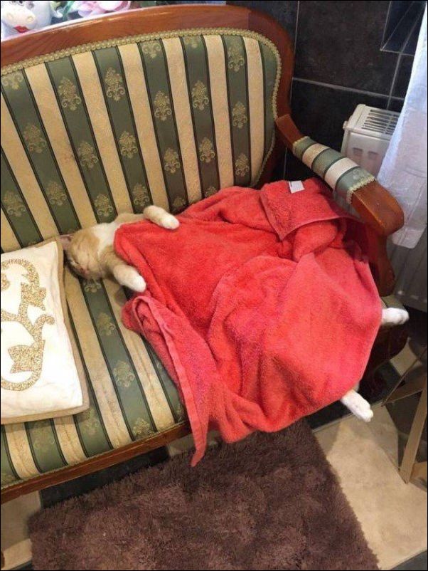 фотоприколы