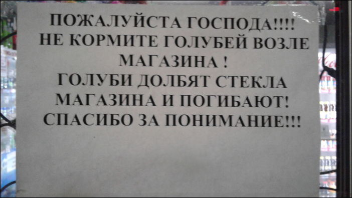 смешные надписи