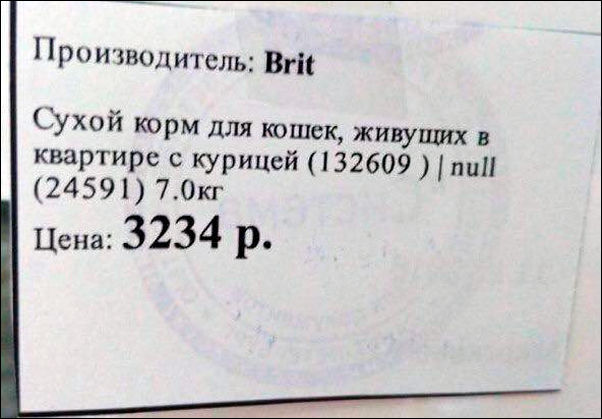 смешные надписи