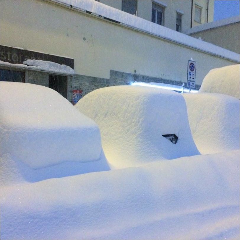 фото приколы