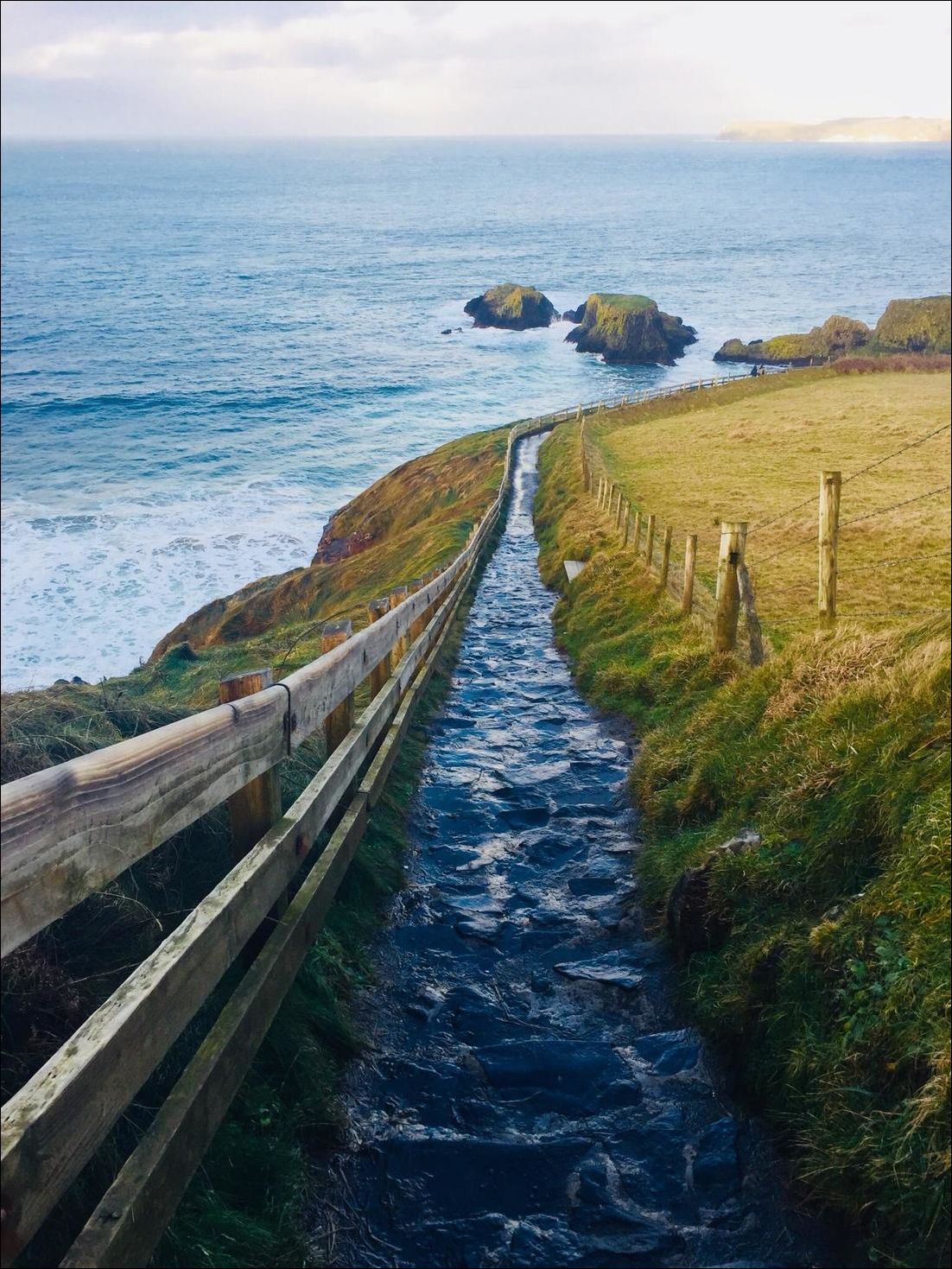 фото приколы