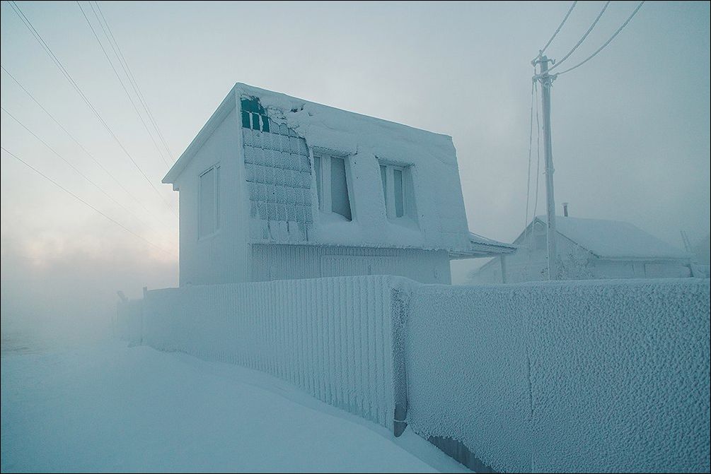 фото приколы