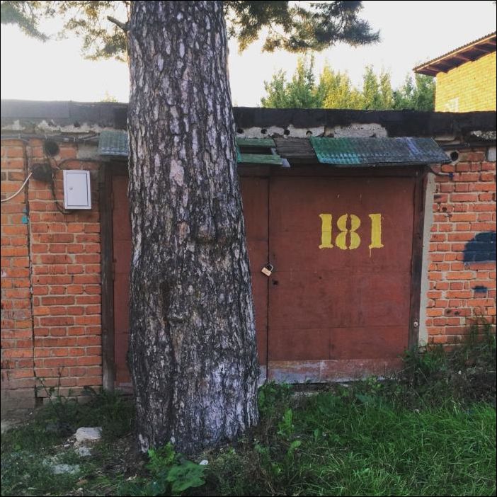 фото приколы