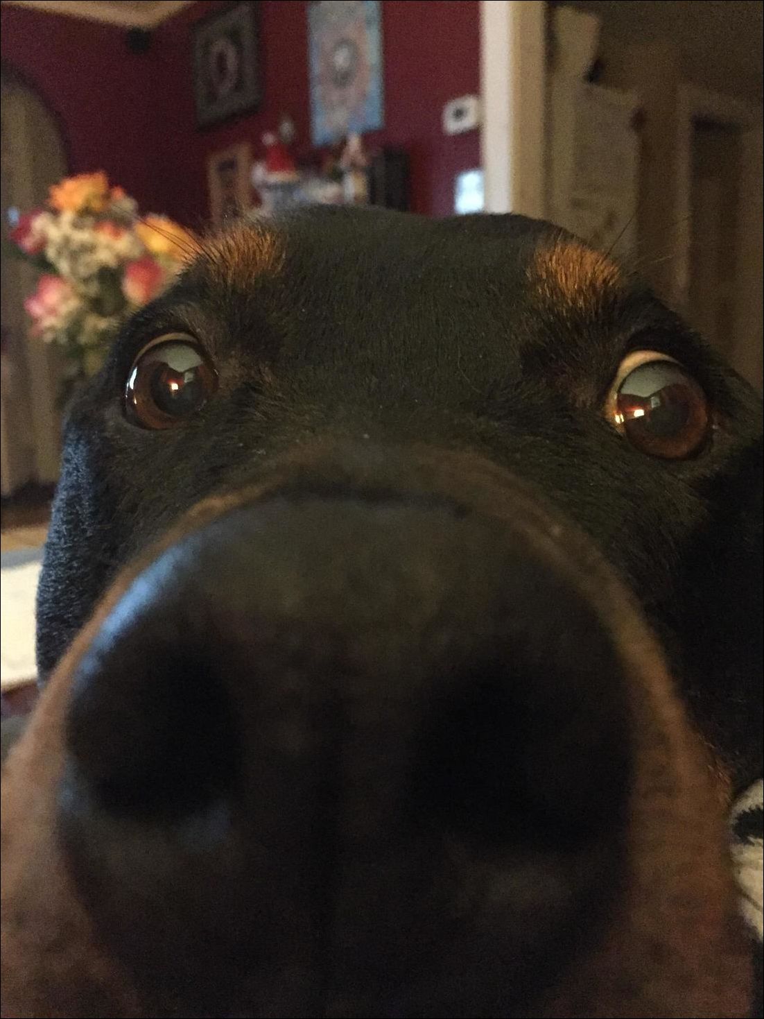 фото приколы