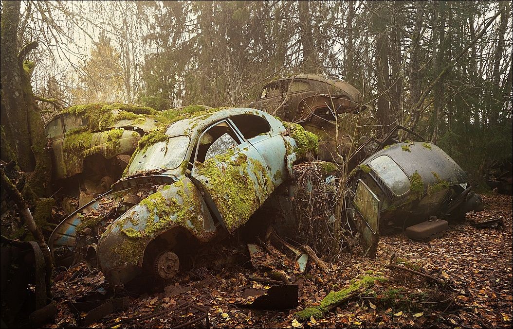 фото приколы