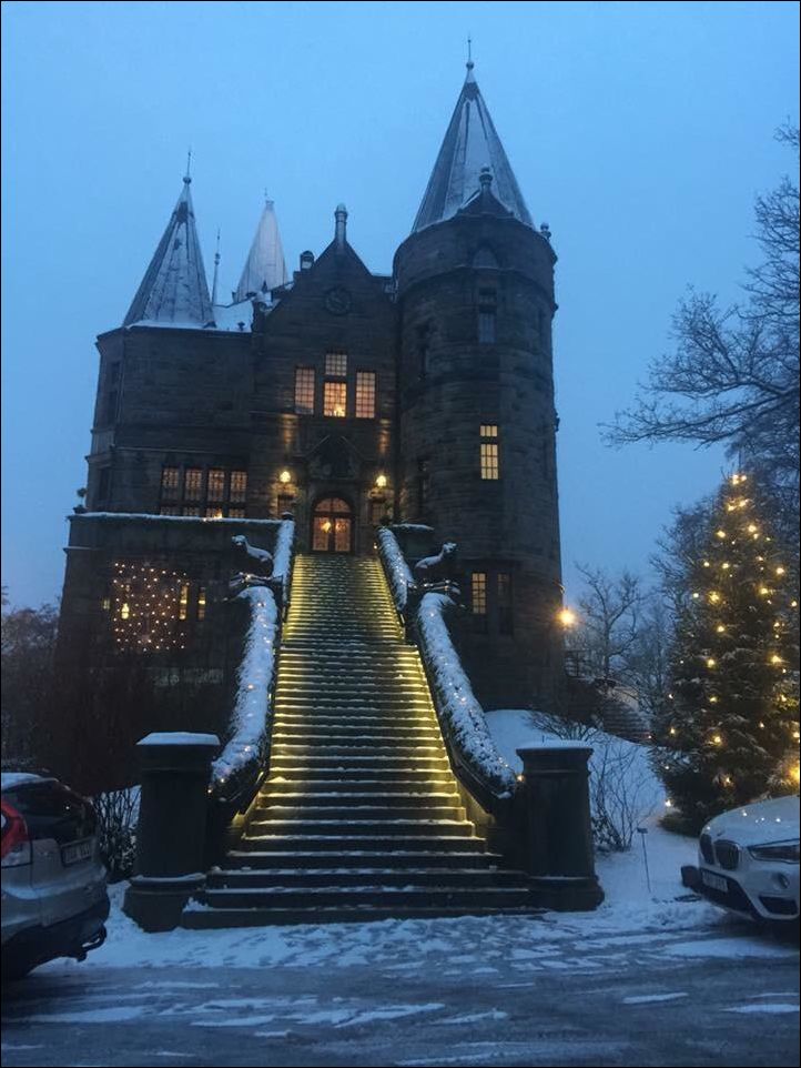 фото приколы