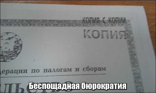 фото приколы