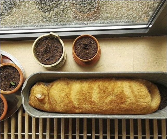 фото приколы