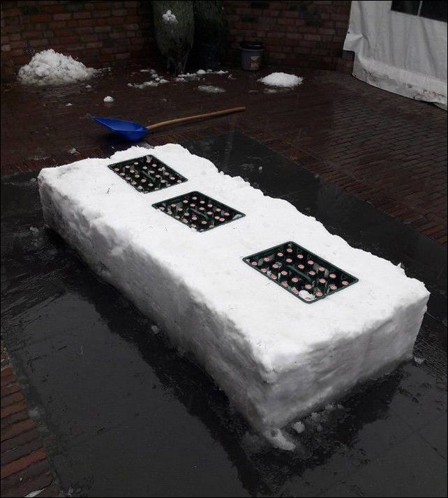 фото приколы