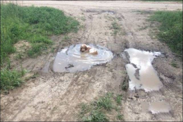 фото приколы