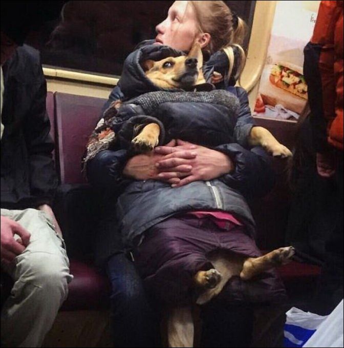 фото приколы