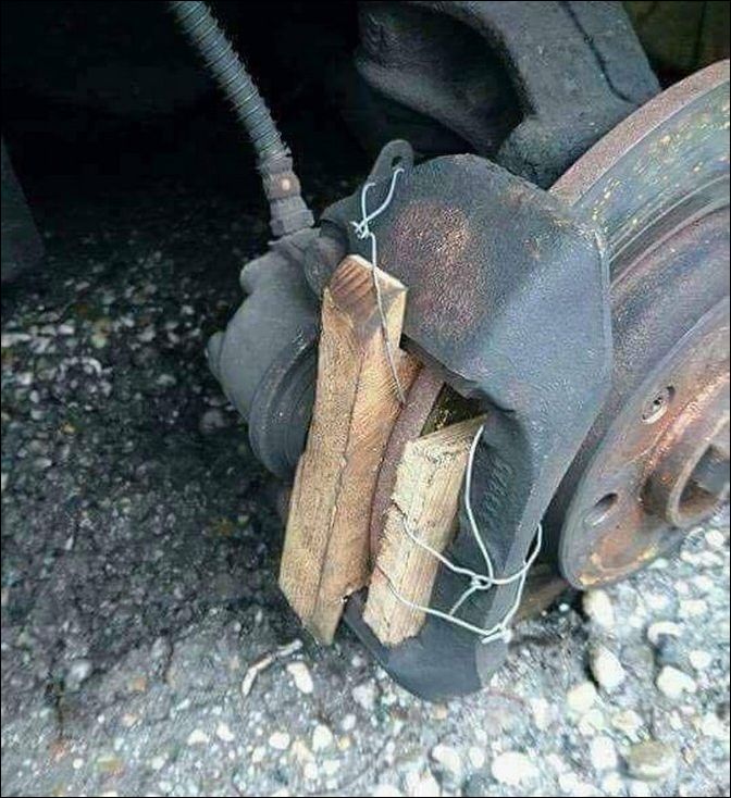 фото приколы