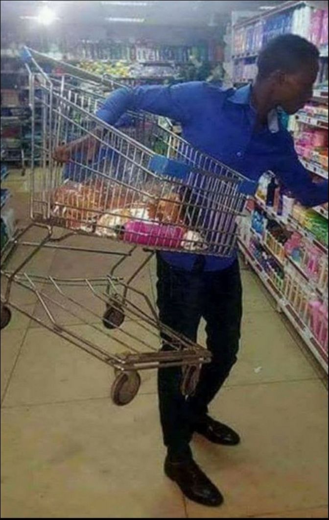 фото приколы