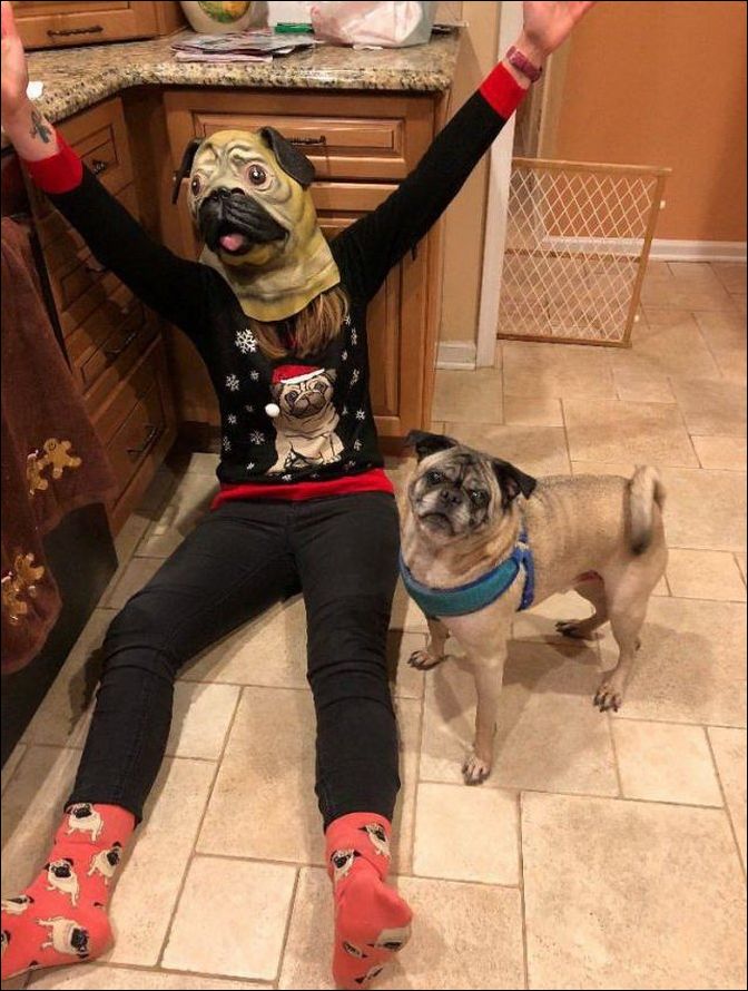 фото приколы