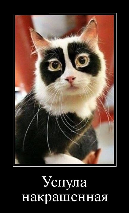 демотиватор