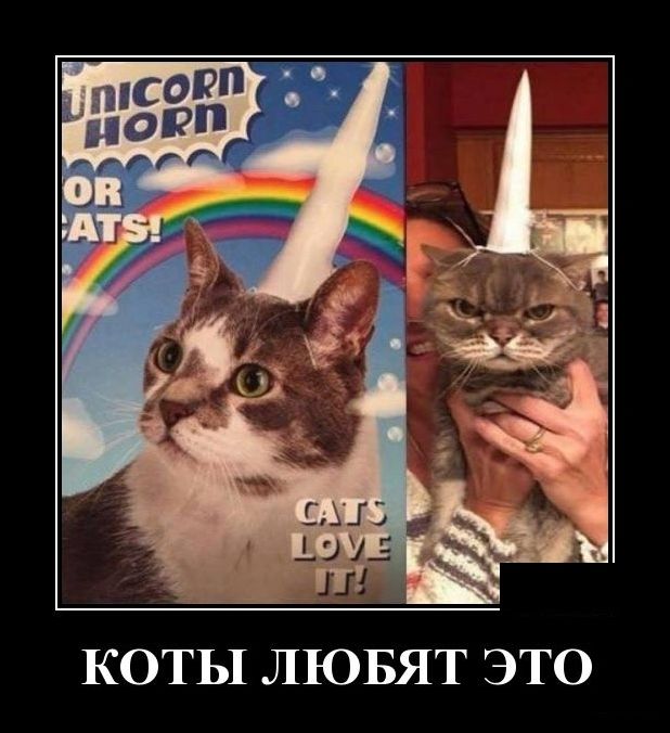 демотиватор