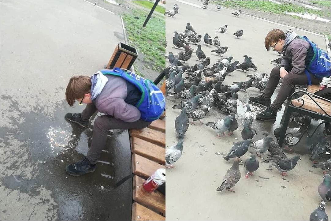 фото приколы