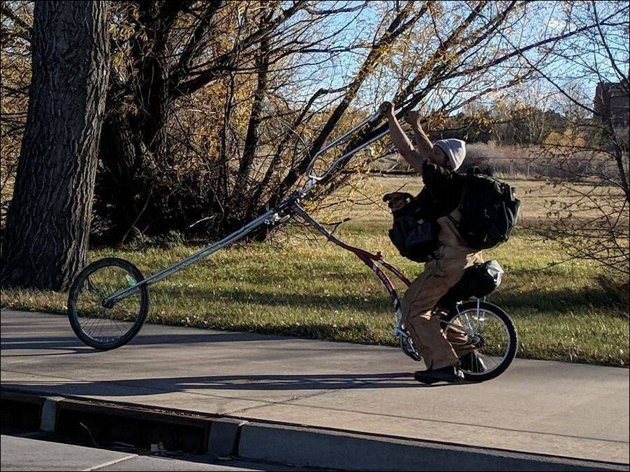 фото приколы