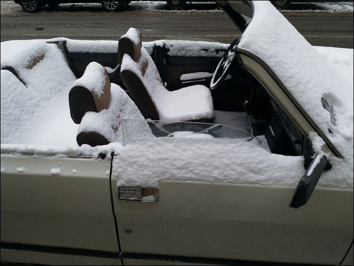 фото приколы