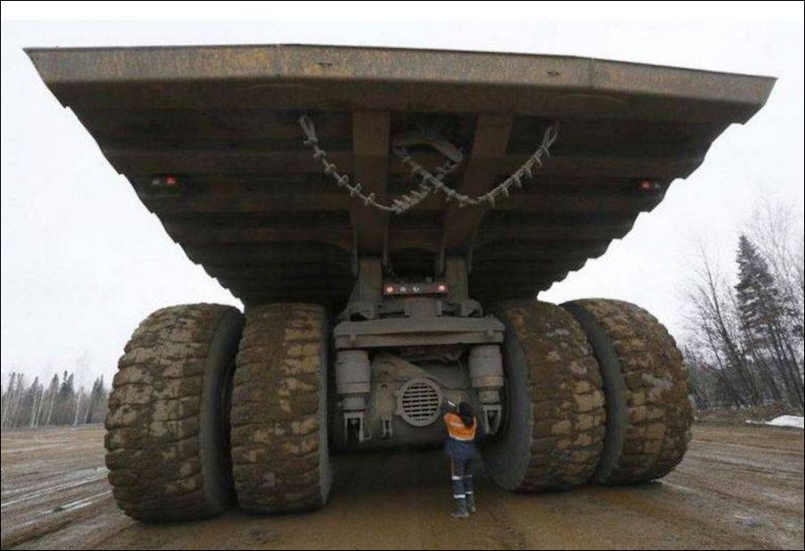 фото приколы