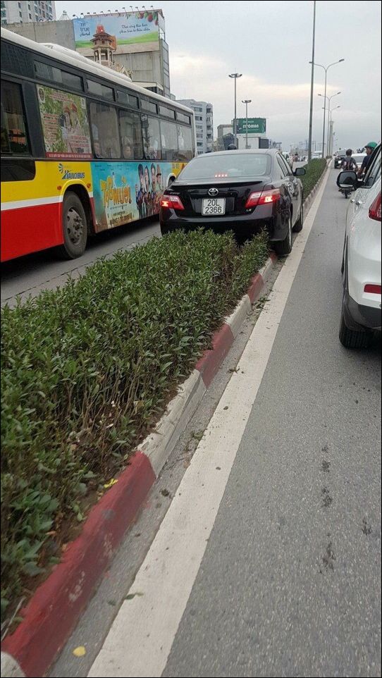 фото приколы