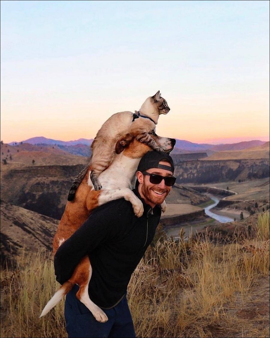 фото приколы