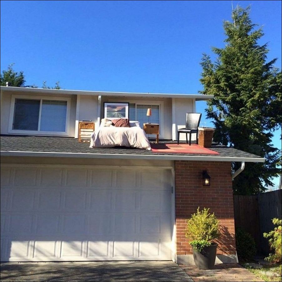 фото приколы