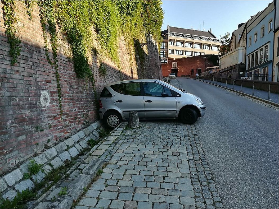 фото приколы