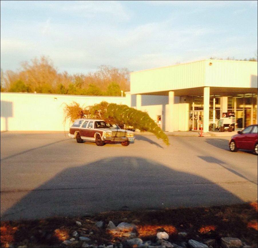 фото приколы