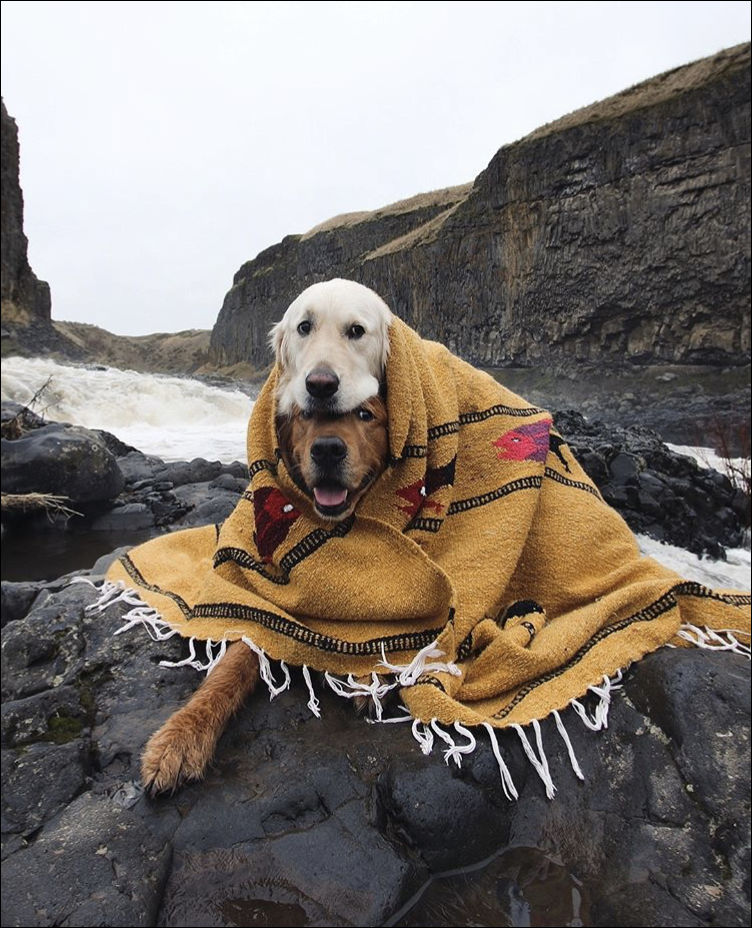 фото приколы