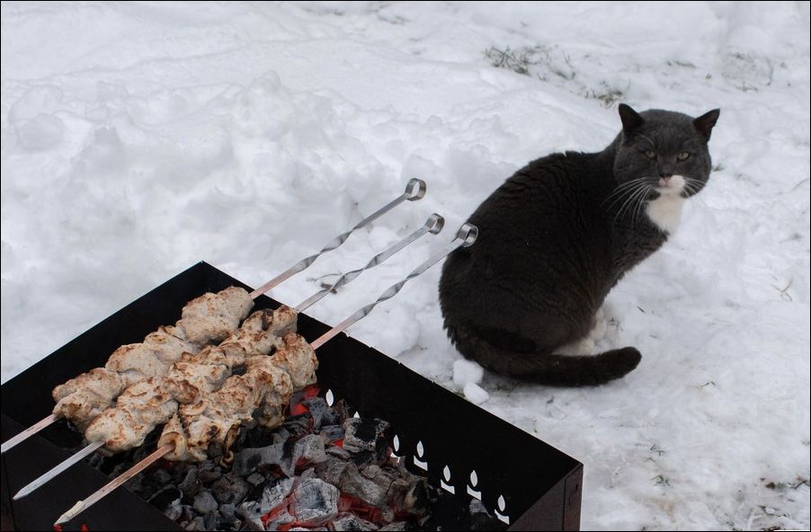 фото приколы