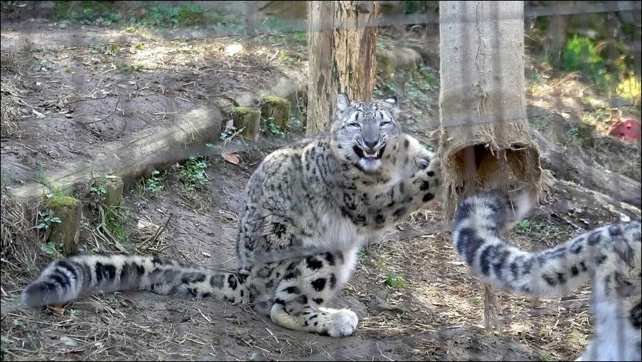 фото приколы