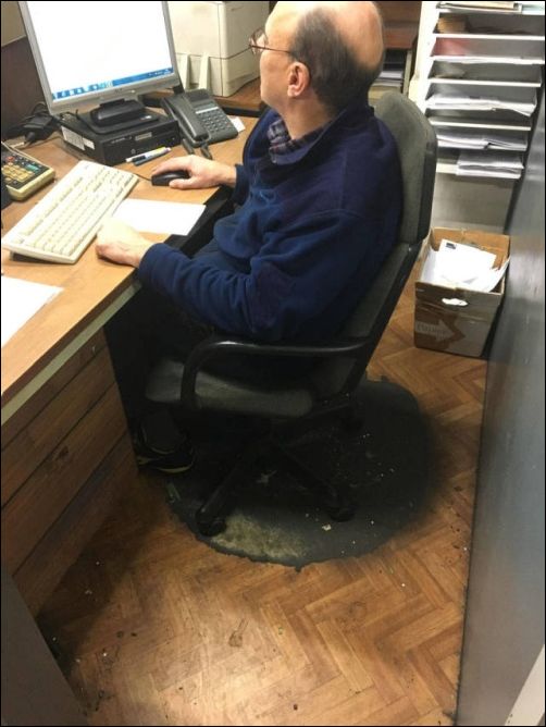 фото приколы