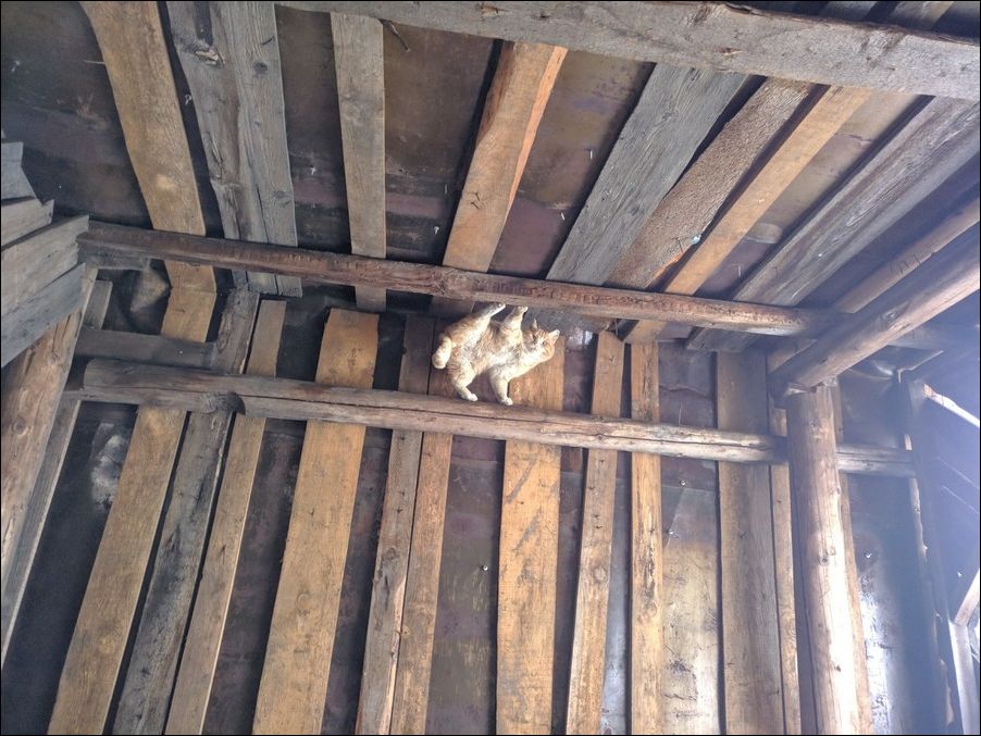 фото приколы