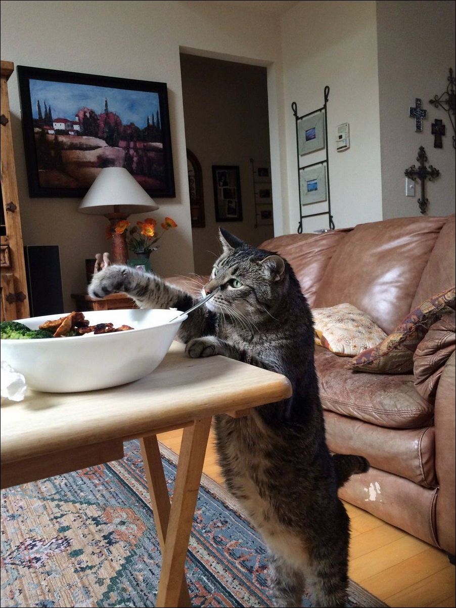 фото приколы