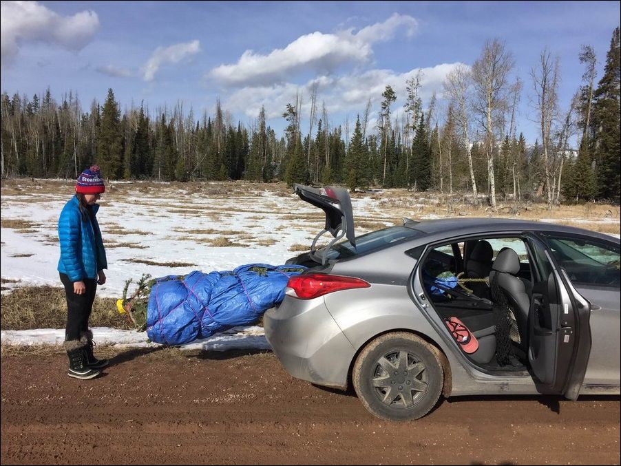 фото приколы