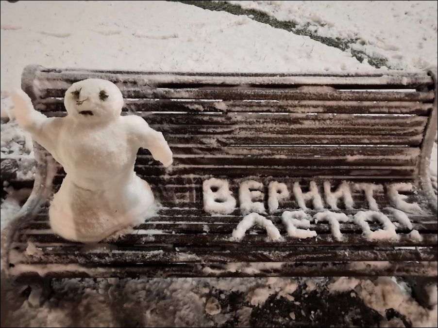 фото приколы