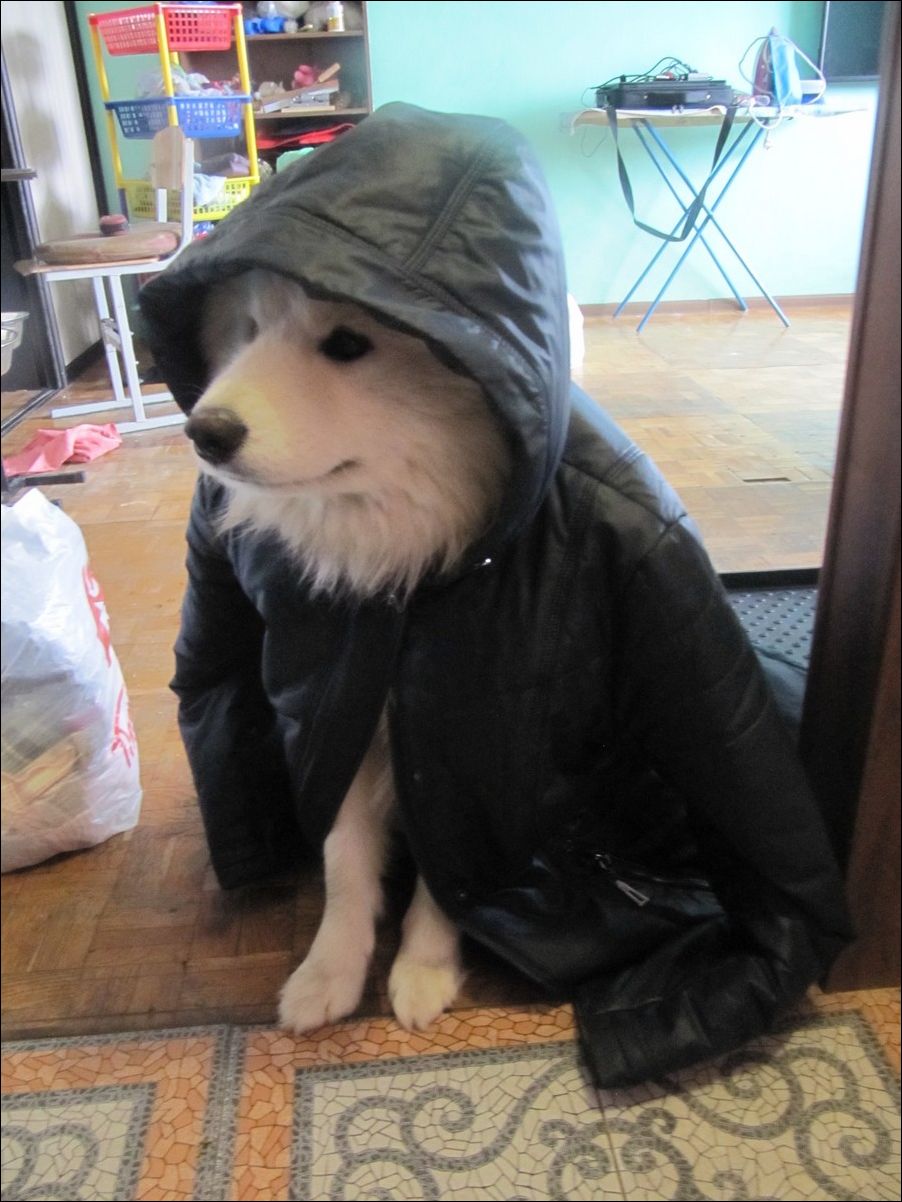 фото приколы