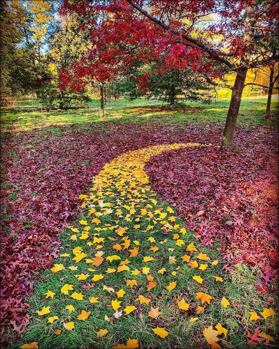 фото приколы