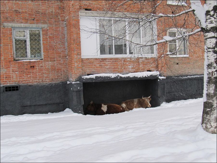 фото приколы