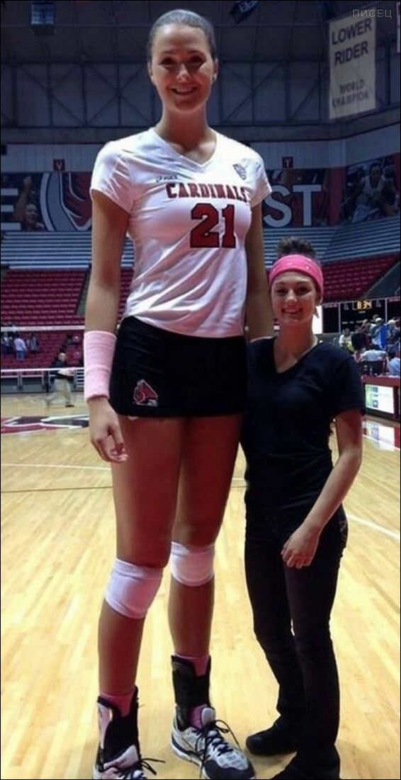 фото приколы