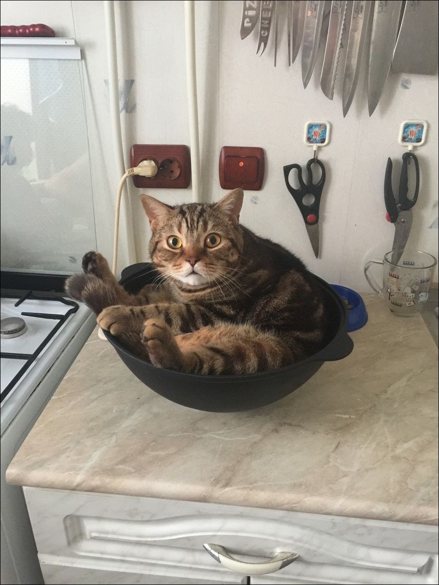 фото приколы