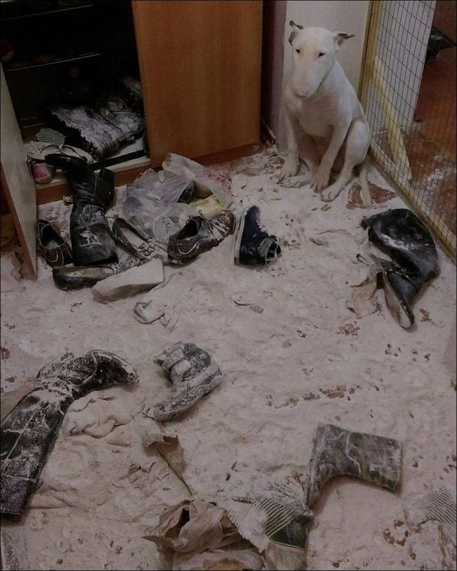 фото приколы