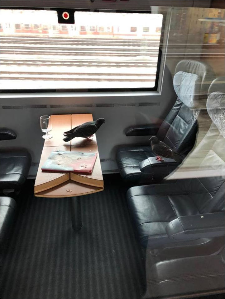 фото приколы