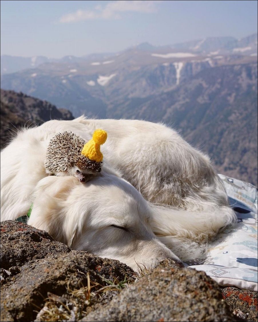 фото приколы