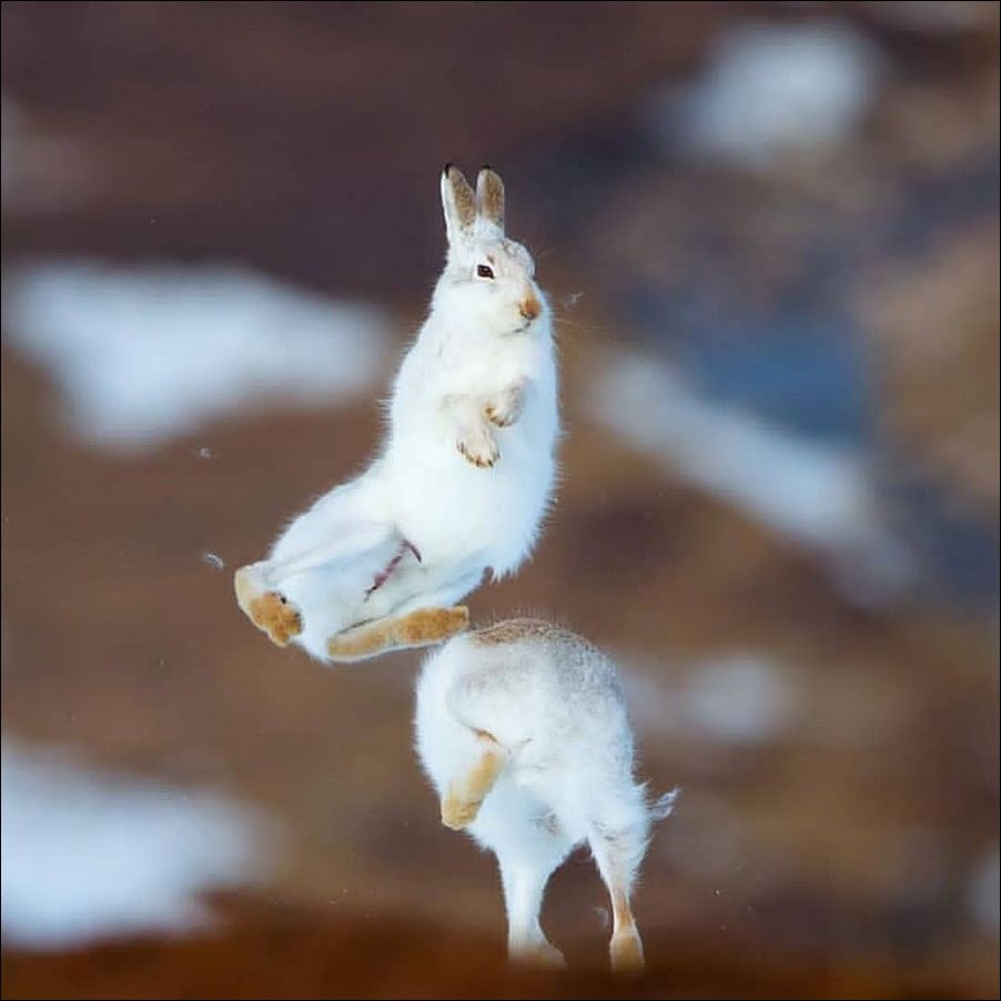 фото приколы