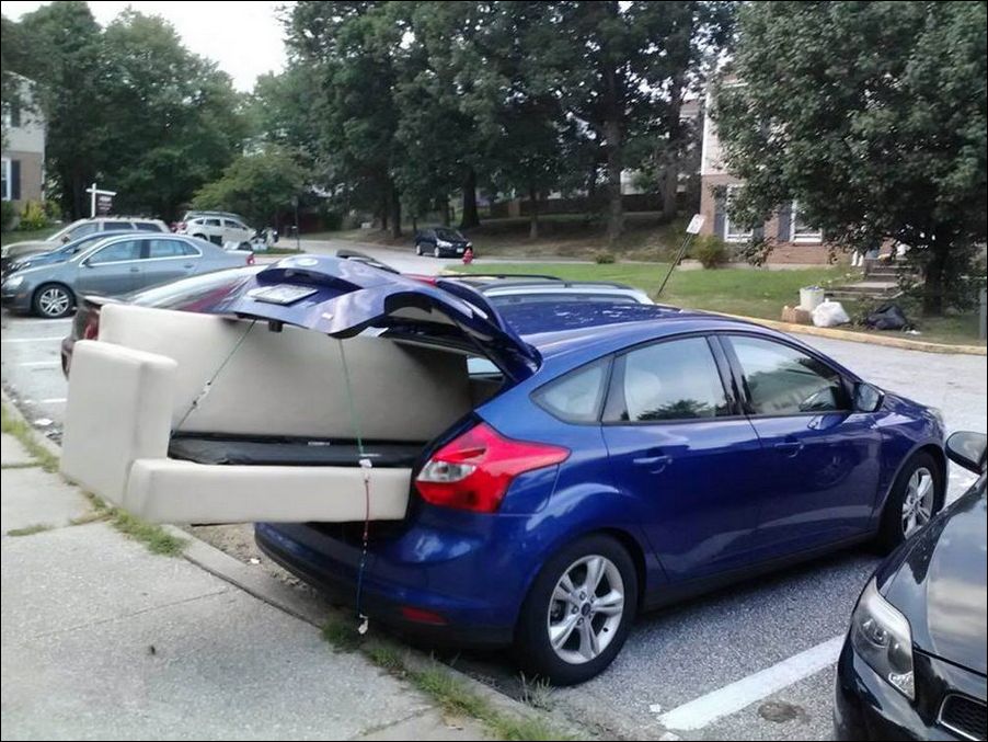 фото приколы