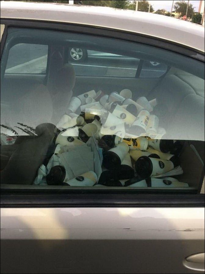 фото приколы