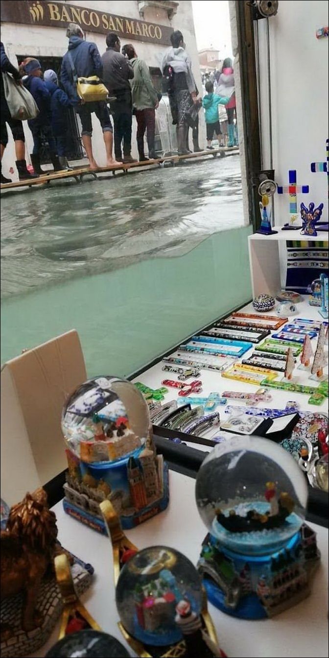 фото приколы