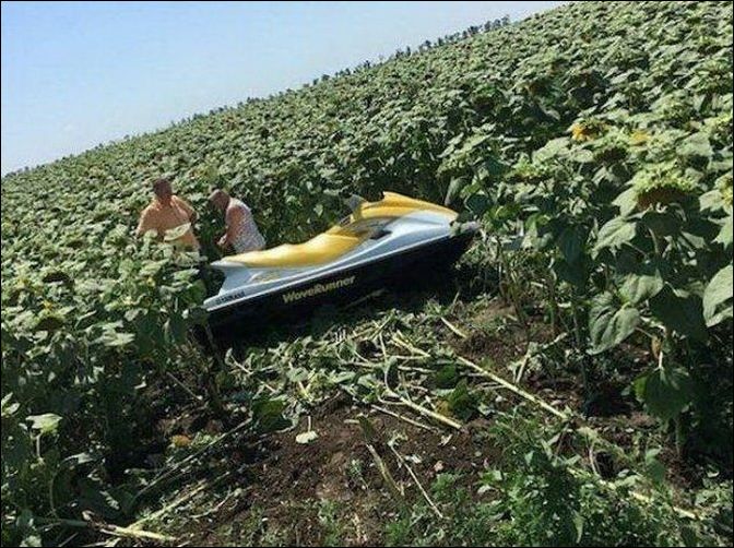 фото приколы